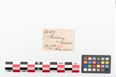 Etiketten zu Bronzegehänge (NHMW-PRAE-024214)